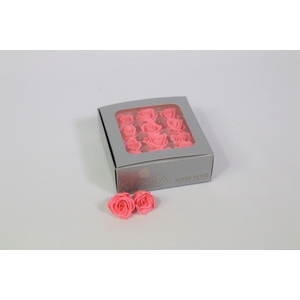 Rosa Preserved Baby Pink Mini Petite