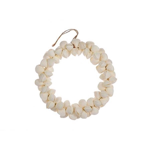 Wreath Shell Clamrose H4D15