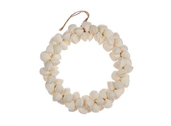 Wreath Shell Clamrose H4D15