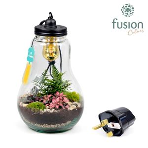 Glas Terrarium XXL helder met verlichting met Groene Planten en Engelse stekker