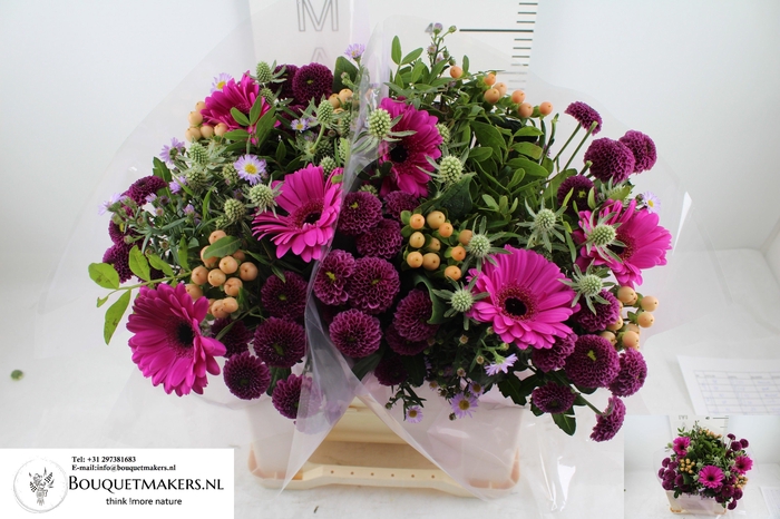 <h4>GEM BOEKET OV</h4>