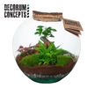 Terrarium Moon medium (Decorum concepts)