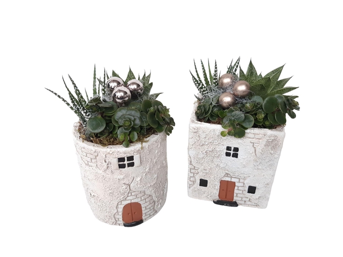 <h4>Arr.   Kamerplant Groen L%</h4>