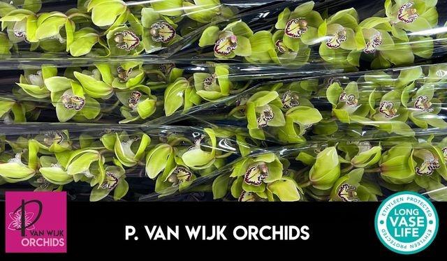 <h4>ROBINHOOD 80 stock</h4>