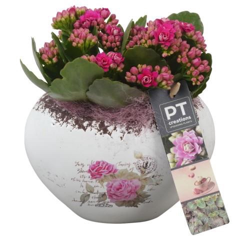 <h4>PTVMB2270 Arrangement Valentines-Mothersday in keramiek sierpot</h4>