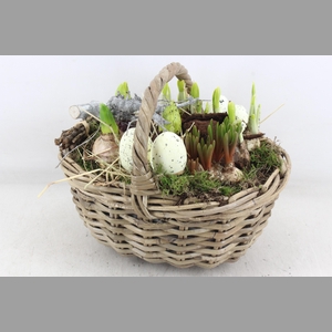 arr4 Bollenmix VL - Hengselmand 338/2