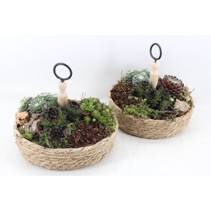 arr4 Semp PL - Jute etagere rond x3