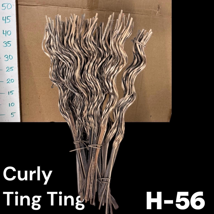 <h4>HUIS EN TUINDECO H%</h4>