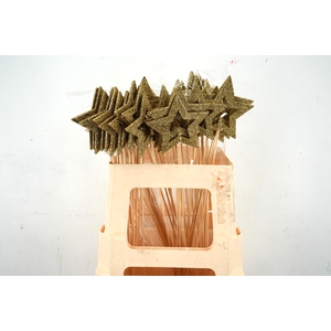 Pick star open d.9cm+50cm stick gold glitter