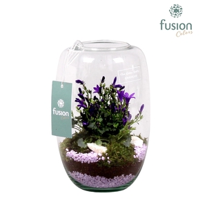 Green Bottle Isabella Small met Campanula 24uur levertijd