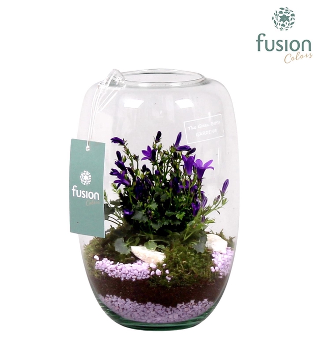<h4>Green Bottle Isabella Small met Campanula 24uur levertijd</h4>