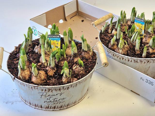 <h4>ARR N TETE A TETE</h4>