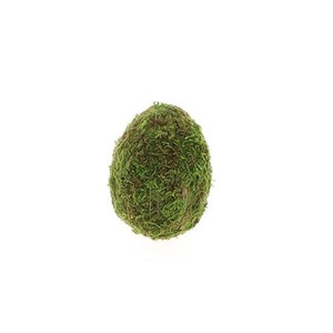 Egg Moss L6w6h8
