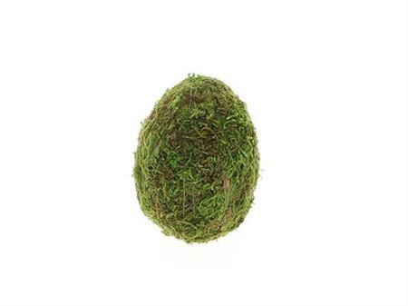 <h4>Egg Moss L6w6h8</h4>