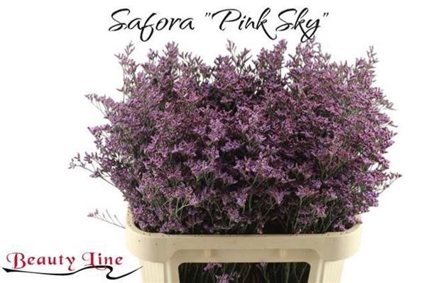 <h4>LIM SAF PINK SKY</h4>
