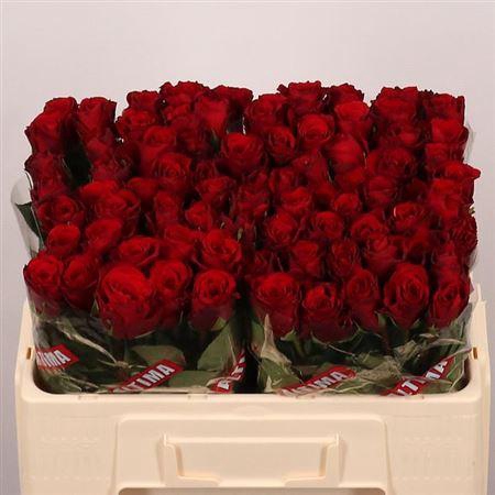 <h4>R Gr Upper Class</h4>