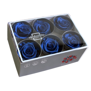 Rose standard d.blauw