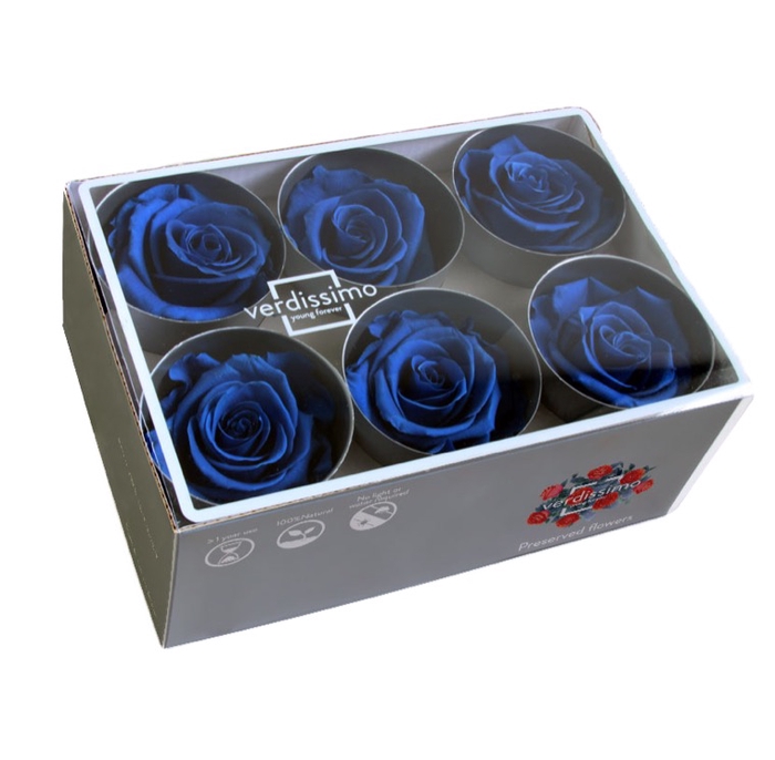 Rose standard d.blauw