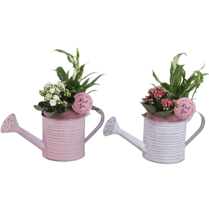 Mothersday Arr. Indoor Zinc Wateringcan Vintage Ø31cm 2PP