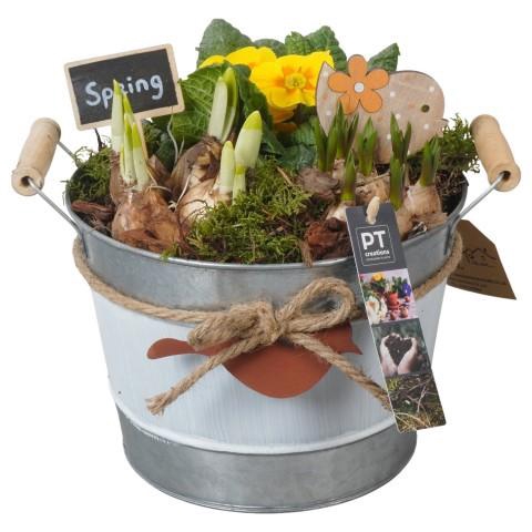 <h4>PTBM3795 Arrangement Flower Bulbs Mix in metalen pot</h4>