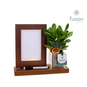 Acryl LED Glow Art Frame met Succulent