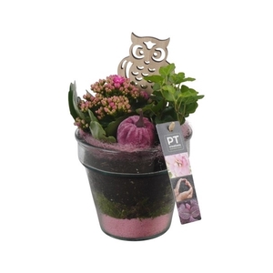 PTHG3308 Arrangement Autumn Glass in vaas