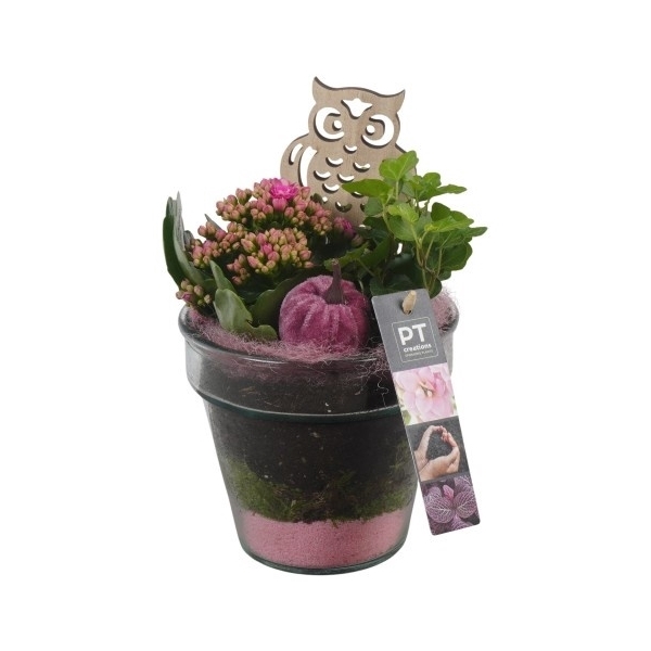 <h4>PTHG3308 Arrangement Autumn Glass in vaas</h4>
