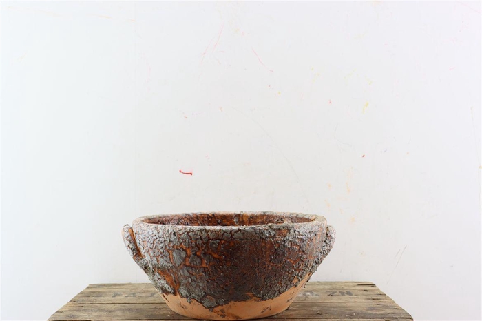 <h4>Hars Bowl Ears L50 W18 H26 D26</h4>