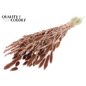 Dried Flower mix bunch Copper