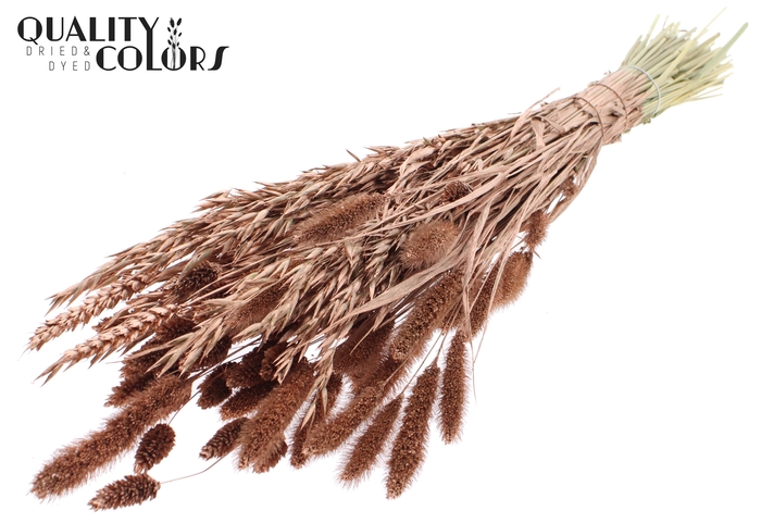 <h4>Dried Flower mix bunch Copper</h4>