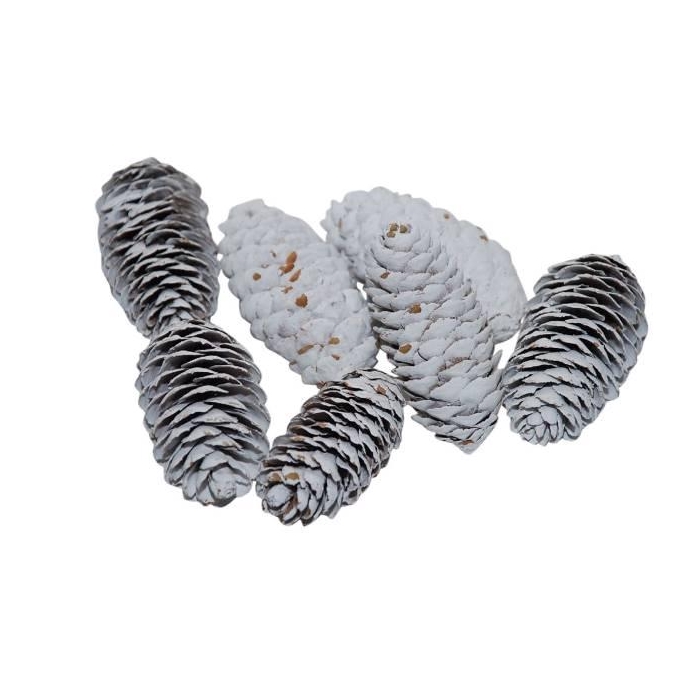 <h4>Pinecone Spruce 150g L6</h4>