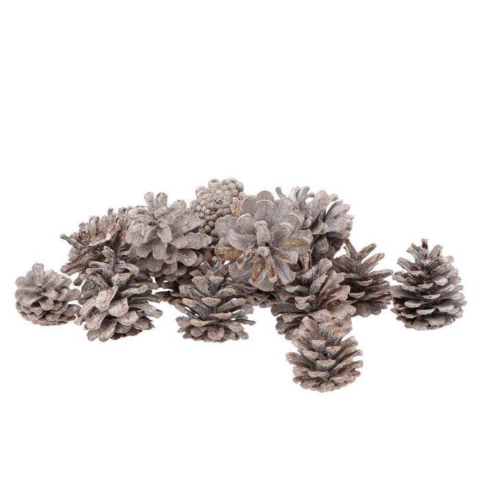 <h4>Nature Austrians Whitewash 5kg Nm</h4>