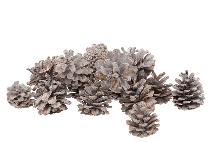 Nature Austrians Whitewash 5kg Nm
