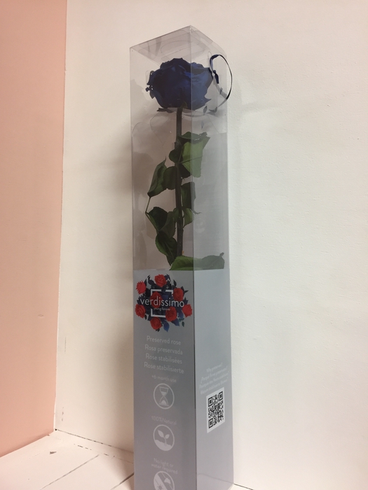 Roos op steel  xl Plexi 55cm Dark blue