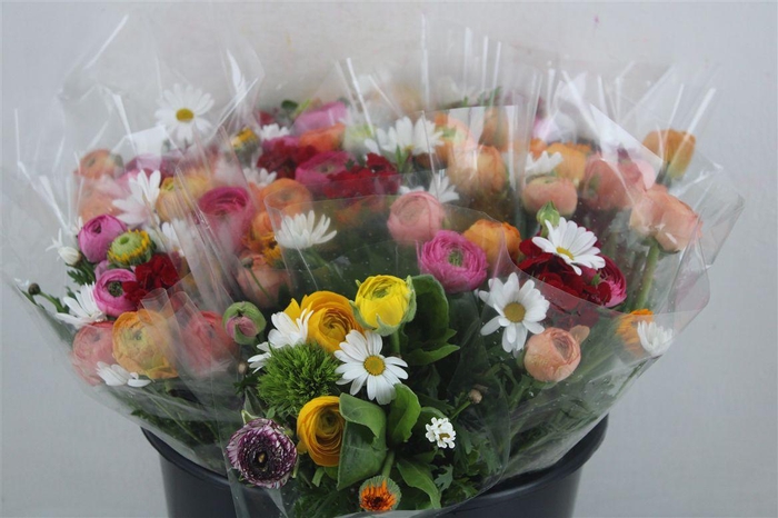 <h4>Boeket Primavera P Bunch</h4>