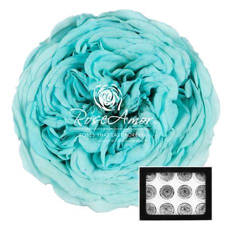 <h4>Amelia Blu02</h4>