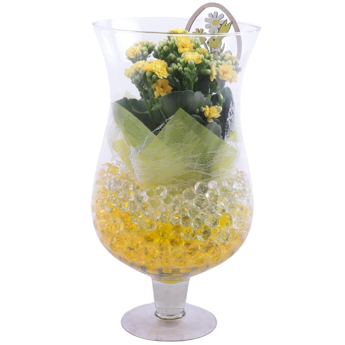 <h4>Easter Arr. Indoor Cognac Glass Large Ø17cm 1PP</h4>