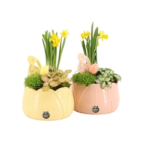 70847: Easter arrangement