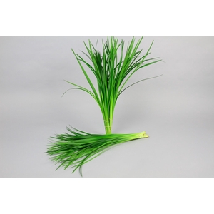 T-Grass (air) Green