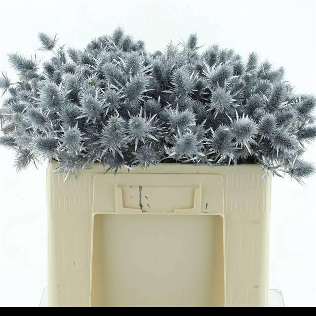 <h4>ERYN A OV KLB H%</h4>