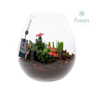 Green Bottle Abby XLarge met Arrangement