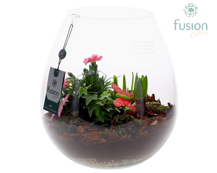 <h4>Green Bottle Abby XLarge met Arrangement</h4>