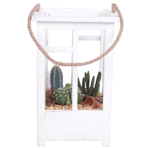 Yearround Arr. Cactus Wooden Lantern pot White mix/3 Ø19cm 3P