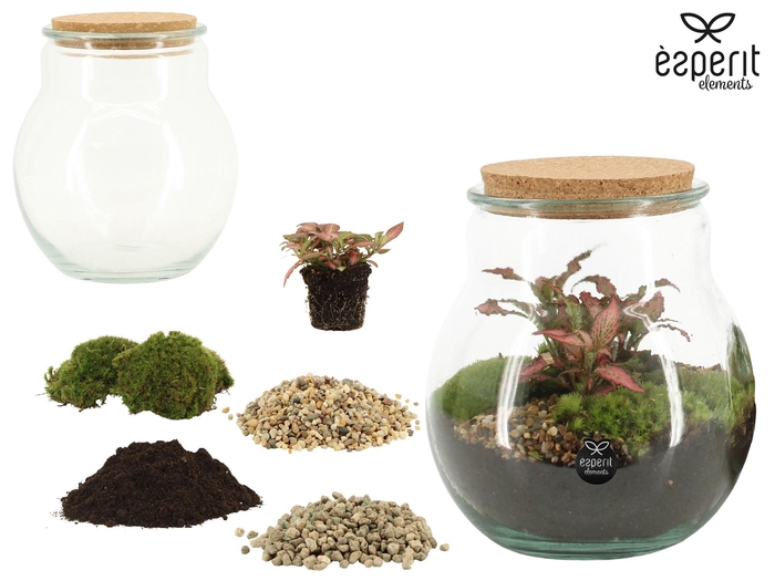 <h4>90857: DIY Terrarium arrangement</h4>