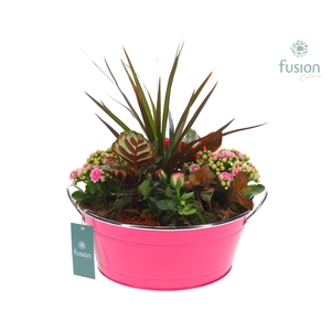 Schaal zink rond groot met Arrangement