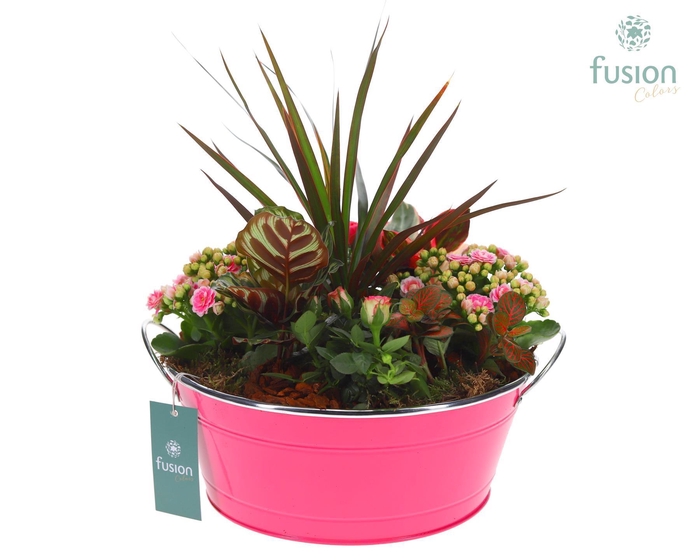 <h4>Schaal zink rond groot met Arrangement</h4>