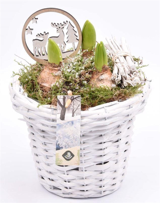 <h4>Wilg bloempot wit 18cm</h4>