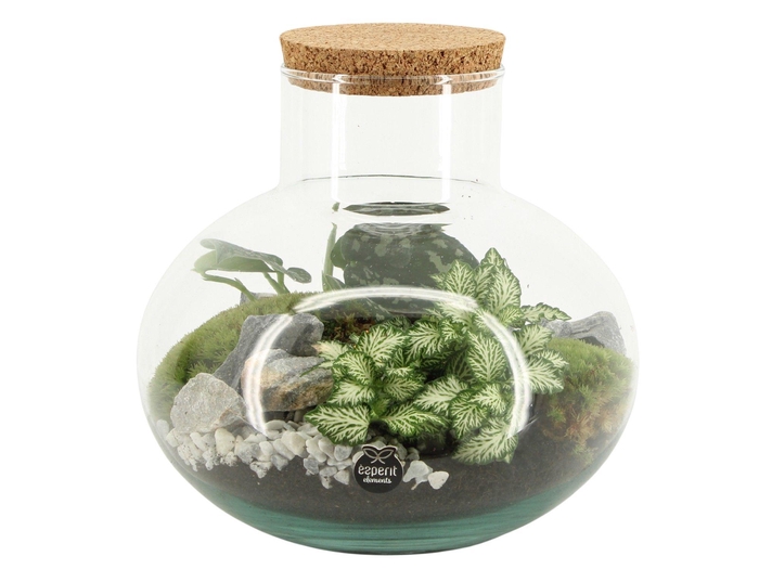 <h4>90706: Terrarium arrangement</h4>