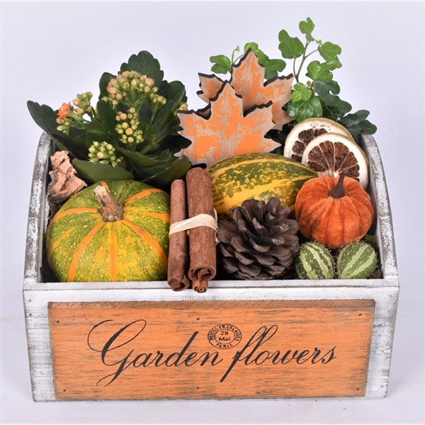 <h4>Arrangementen Sierfruit</h4>