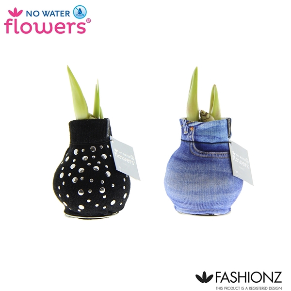 <h4>No Water Flowers® Fashionz Streetlife</h4>